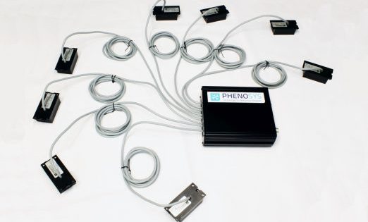 IDspyder_web3-522x350