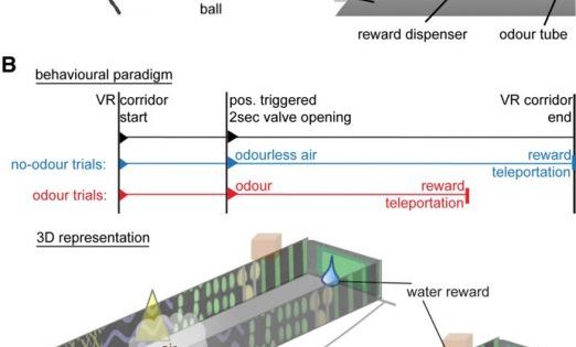 Klausberger-Screenshot-IV-522x350 (1)