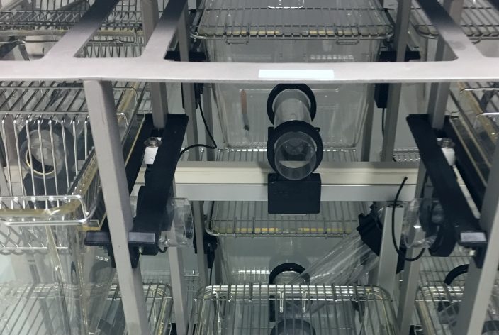 Removed cage with visible RFID sensors and connecting tube