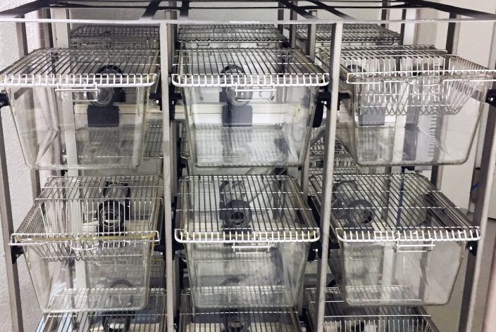 Complete setup with all cages and interconnects – Front view