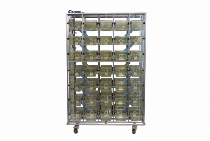 Complete setup with 70 cages and all interconnects – Front view