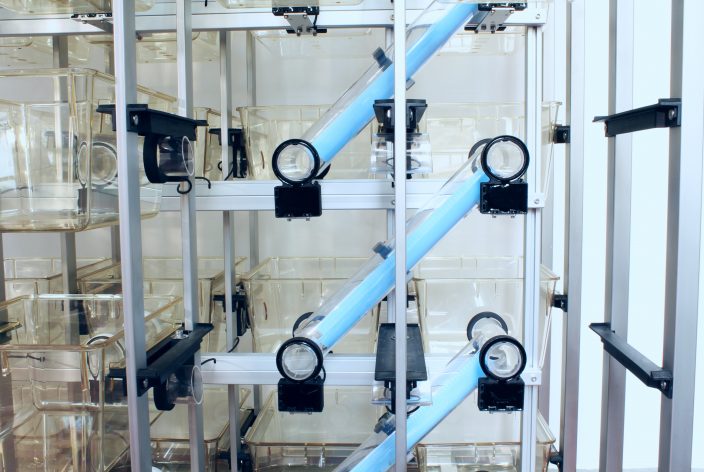 Cage installation- Four cages removed for cleaning