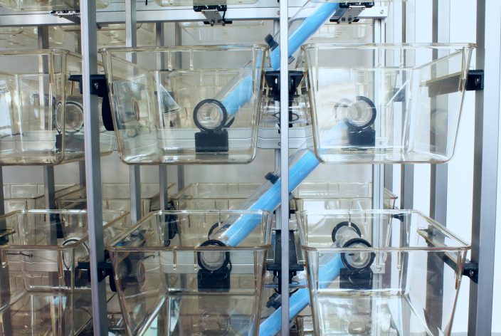 Cage installation- 2 cages installed, 2 positions vacant