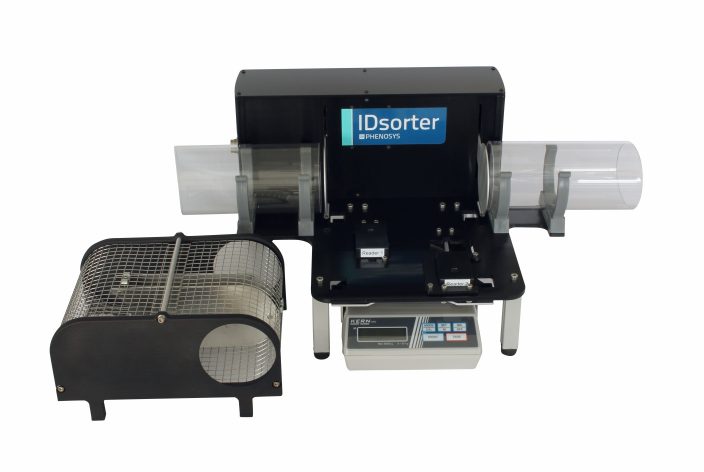 General overview of the IDsorter for rats with sorter cage removed