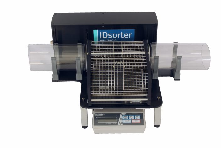 Front view showing the group housing cage (left) & the individual access arena (right)