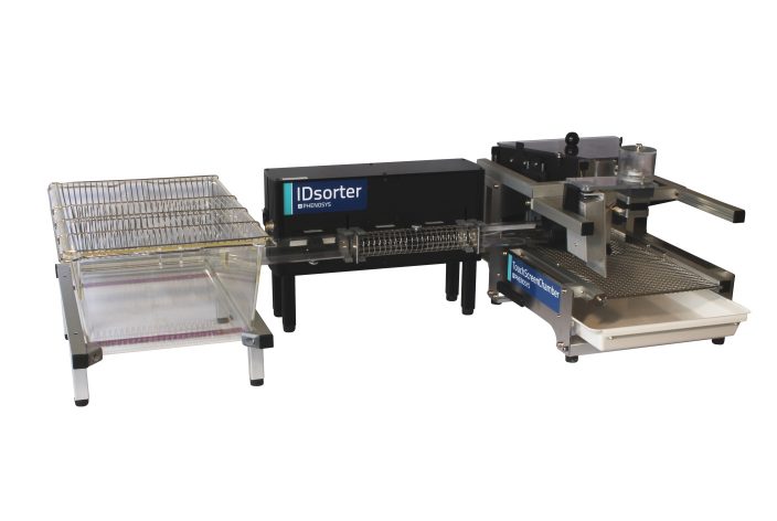 Automated Touchscreen Chamber combination with IDsorter & home cage for 24/7 operation