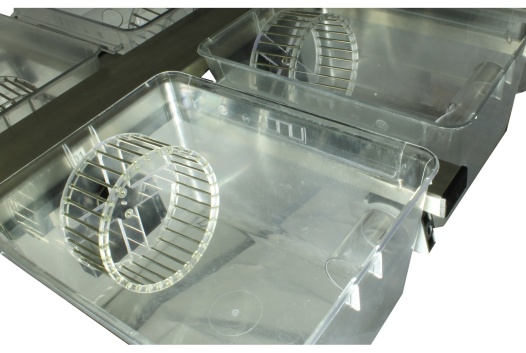 Single cage with running wheel, RIFD electronics, and tube connection