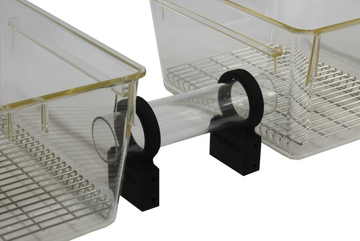 Installation example: How 2 ring antennas allow to track the passage direction