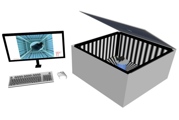Calibrated 4 screen environment for presenting the virtual stimulation cylinder