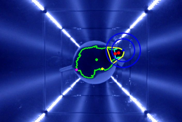 Actual measurement data (single frame) and recorded video with superimposed tracking results