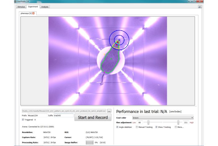 Software omrStudio: running experiment