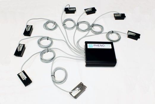 IDspyder_web3-522x350