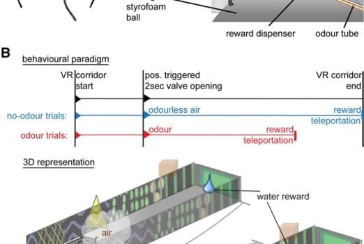 Klausberger-Screenshot-IV-522x350 (1)