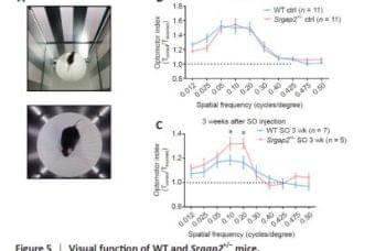 Post_qOMR-340x228 (1)